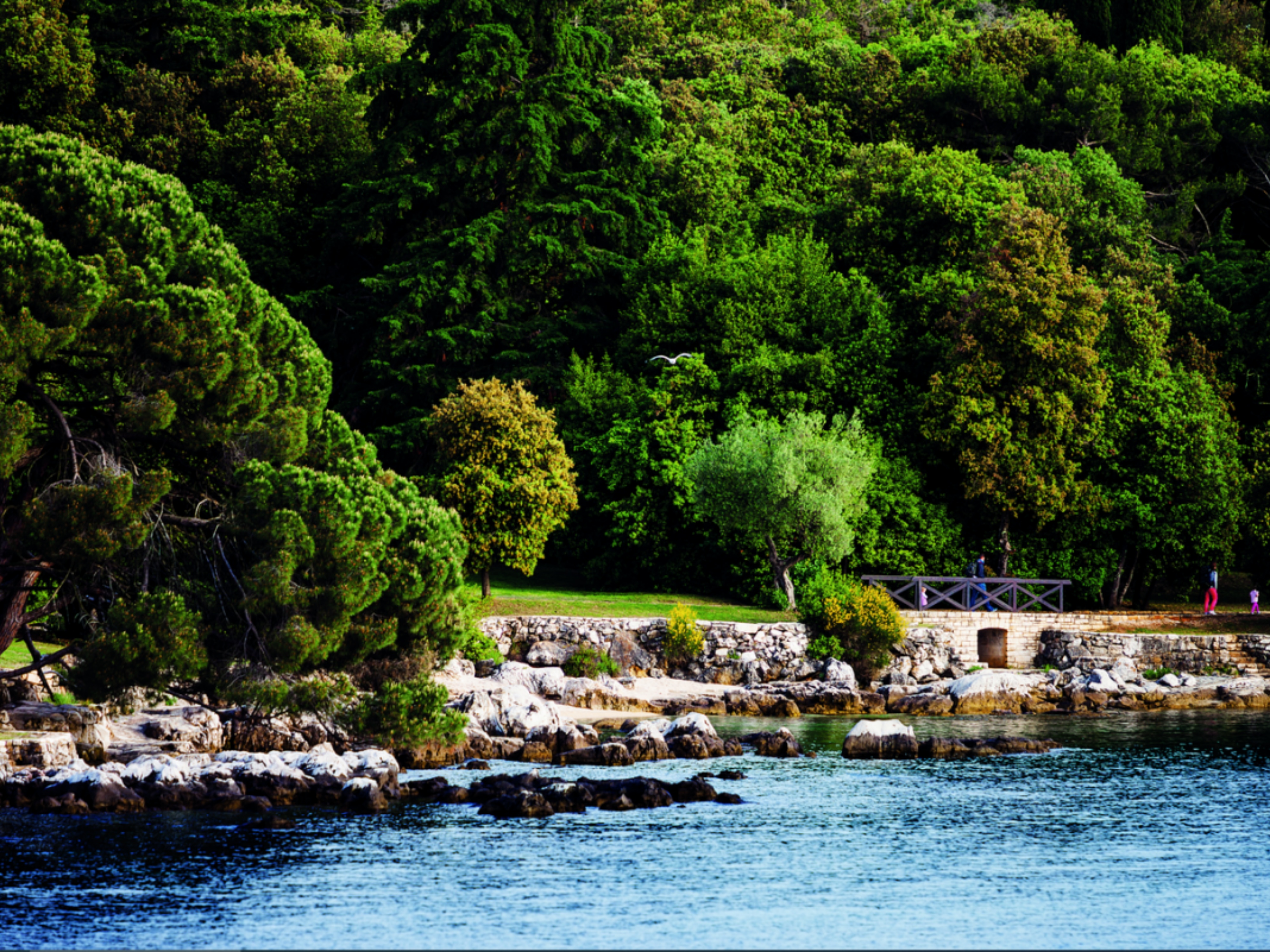 POBOLJŠANJE ROVINJSKE PARK ŠUME ZLATNI RT Moguća izgradnja punktova za okrijepu i javni toaleti?!